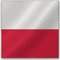 Polsk språköversättningstjänst
